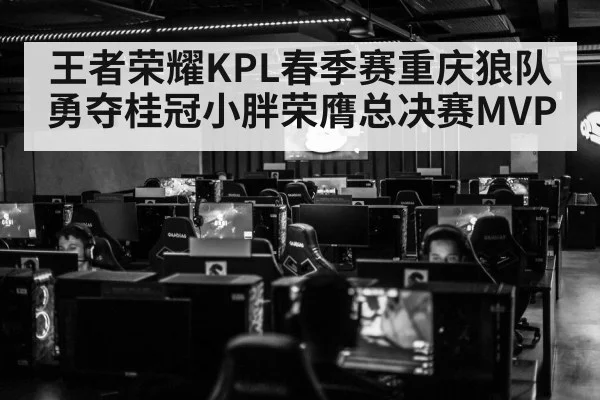 王者荣耀KPL春季赛重庆狼队勇夺桂冠小胖荣膺总决赛MVP