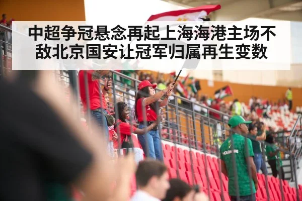 soccer stadium crowd