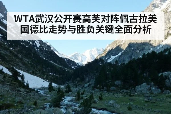 WTA武汉公开赛高芙对阵佩古拉美国德比走势与胜负关键全面分析