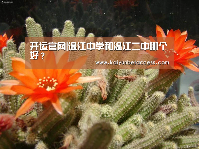 开运登录
